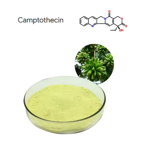 Υψηλή καθαρότητα 98% εκχύλισμα εκχυλίσματος εκχυλίσματος CampTothecin CAS 7689-03-4